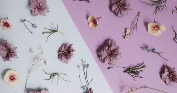 Borítókép: A horoszkópod elárulja, milyen parfümöt kéne beszerezned nyárra