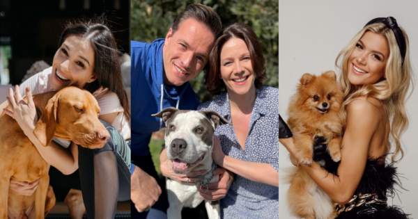 Borítókép: Bemutatkoznak a híres kutyusok: Molnár Andi, Weisz Fanni és Gömöri András Máté kis kedvencét is megismerhetjük