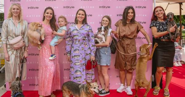 Borítókép: Kiakadt a cukiságfaktor: Kutyáikkal vonultak fel a sztárok a vörös szőnyegen  