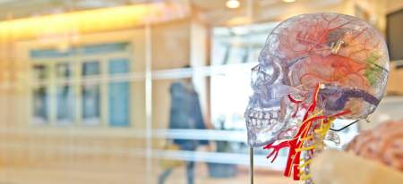 Borítókép: Csak fokozatosan: Melyik életkorban merre tart a fejlődés?