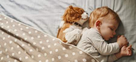Borítókép: Hogyan segít a kutya a gyereknevelésben? És melyek a legjobb kutyafajták gyerek mellé?