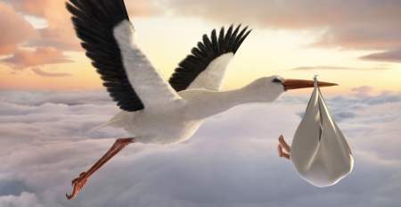 Borítókép: Ilyen a világ különböző országaiban a gyerekek szexedukációja