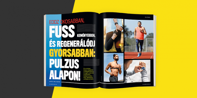 pulzus