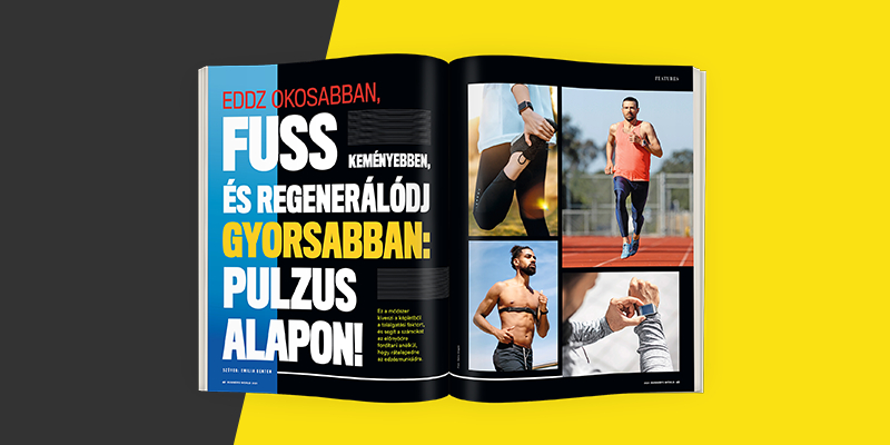 pulzus
