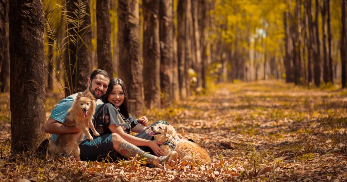 Borítókép: Napi horoszkóp szeptember 28.: a Szüzek váratlanul jött lehetőséggel élhetnek, a Skorpiók körül beindulhatnak az események