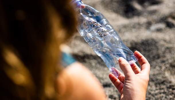 Borítókép: A Garnier 250 millió embernek teszi lehetővé a zöldebb életet!