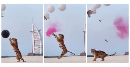 Borítókép: Egy kissé "túltolták" a gender reveal bulit