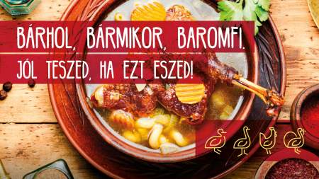 Borítókép: Minden nap Márton-nap - Ha kacsát, libát eszel, nemcsak éhezni nem fogsz, de egészséges is maradsz!