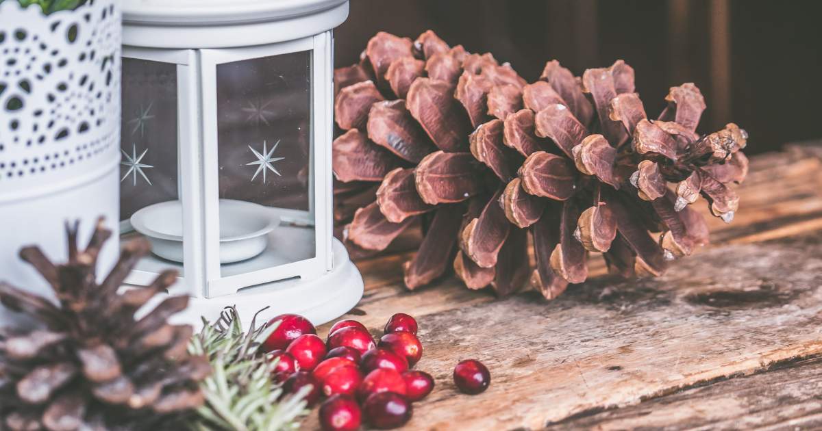 Napi horoszkóp december 9.: az Oroszlánok számára fontos részletek válnak világossá, a Skorpiók akaratlanul idézik elő a konfliktushelyzetet