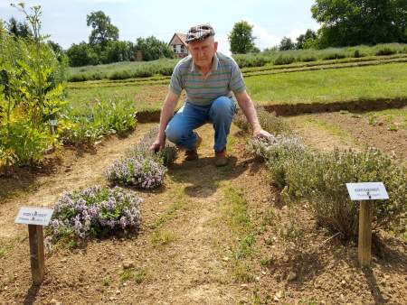 Borítókép: Köhögésre melyik gyógynövény jó? Szabó Gyuri bácsi elmondja!
