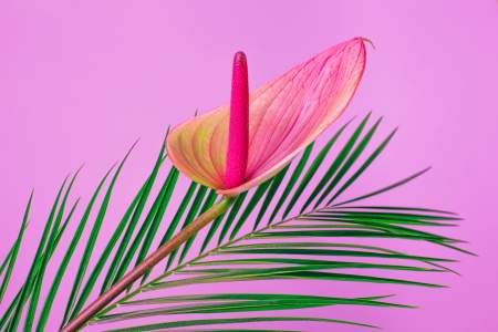 Borítókép: Szexterápiára járunk a férjemmel: mindenre számítottam, csak arra nem, ami ott fogadott