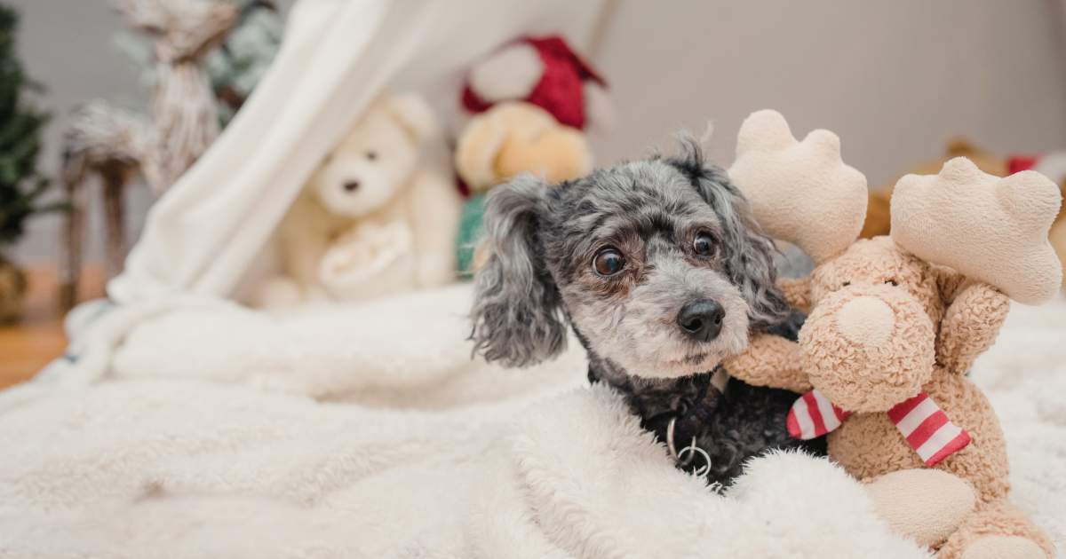 Napi horoszkóp december 29.: a Szüzek könyékig érintettek egy bizonyos dologban, a Halaknak érdemes rendszerbe foglalniuk a teendőiket