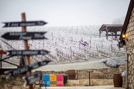 Borítókép:  Magyar Kultúra Napja, titkos erdei kalandozás és gasztroélmények