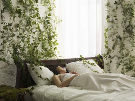 Borítókép: A röpke kaland örökre megmérgezi az életemet