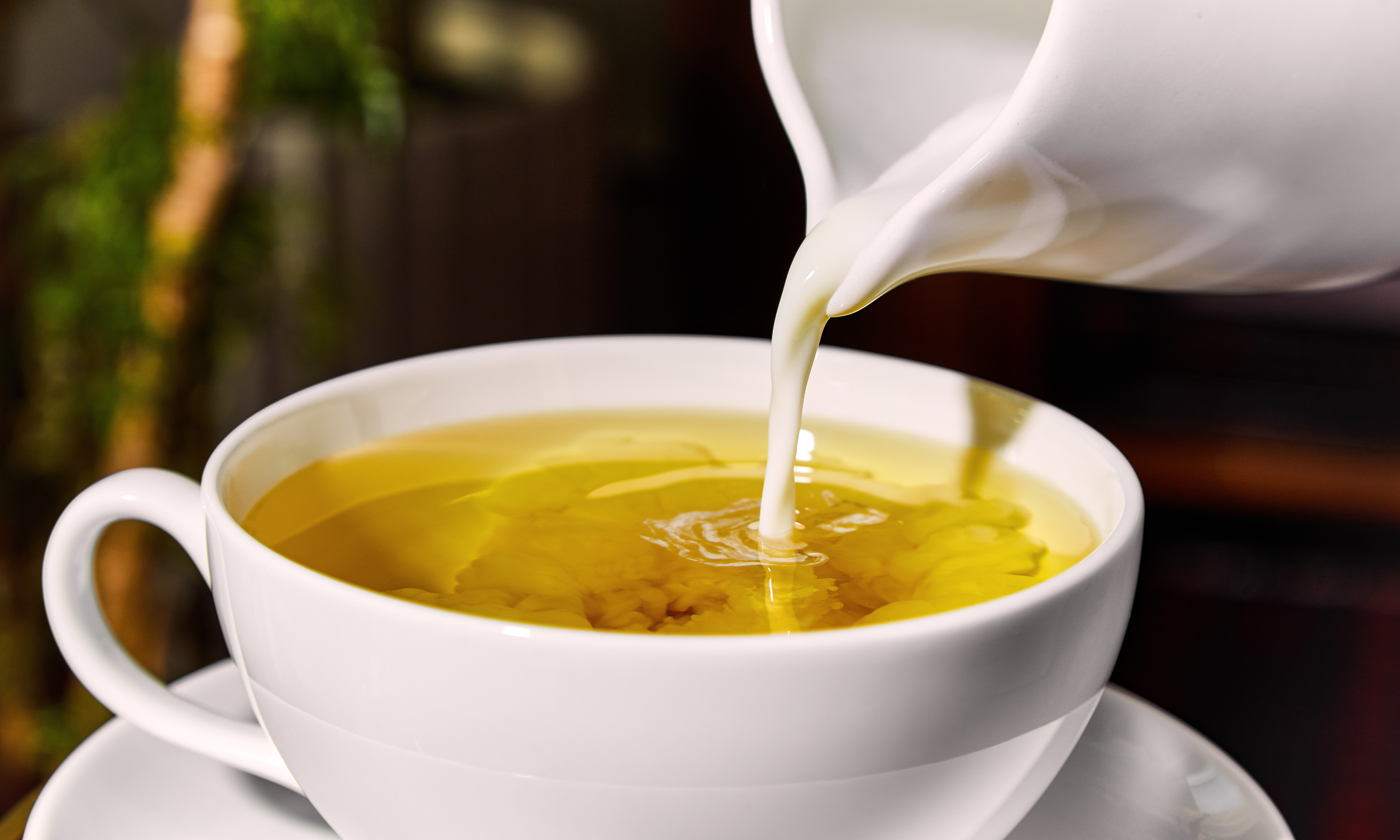 tejes tea