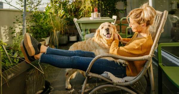 Borítókép: A kutyád meghosszabbítja az életed: különleges hatással van az egészségedre a kis kedvenced