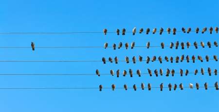 Borítókép: Ocsut a búzától, avagy hogyan különböztesd meg az álhíreket és áltudományt a valóditól