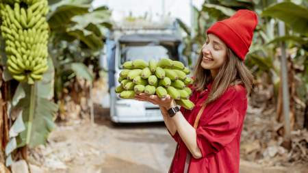 Borítókép: Mi történik, ha 12 napig csak banánt eszel?