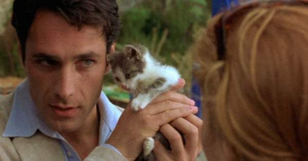 Borítókép: Emlékszel még a Napsütötte Toszkána olasz szívtiprójára? Raoul Bova már elmúlt 50 éves, és így néz ki most!