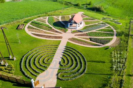 Borítókép: Séta a világ legnagyobb hárslevelén - Már lehet jelentkezni a Györgytea gyógynövényismereti túráira!