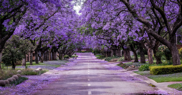 Borítókép: Ez a születési hónapod színe: különleges hatással lehet rád az alábbi árnyalat