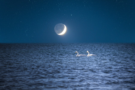 Borítókép: Különleges Újhold részleges napfogyatkozással: október 25