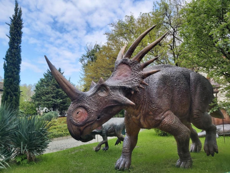 Borítókép: Szuper családi programok november első hétvégéjére