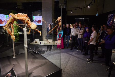 Borítókép: BODY WORLDS –  Az eredeti kiállítás az emberi testekről 