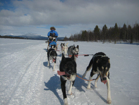 Borítókép: „Valóra váltottam a gyerekkori álmom” interjú Szigetvári Eszterrel, aki egyike azoknak a 24 embernek, akik megcsinálják egy évben a 300 km-es Északi sarkkör túrát