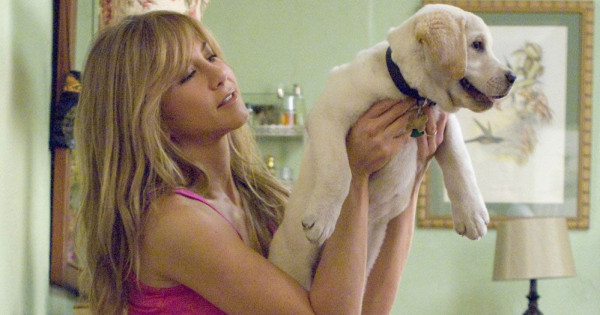 Borítókép: Mennyibe fog kerülni? 6 kérdés, amit feltétlenül válaszolj meg magadnak, mielőtt befogadnál egy kutyát