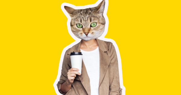 Borítókép: 6 ember, aki azért feküdt kés alá, hogy egy állatra hasonlítson