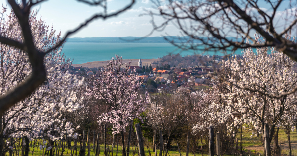 balaton, tavasz