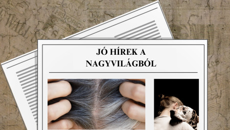 Borítókép: Megtalálták az őszülés ellenszerét, donort találó kutya - ezek a jó hírek történtek a múlthéten 