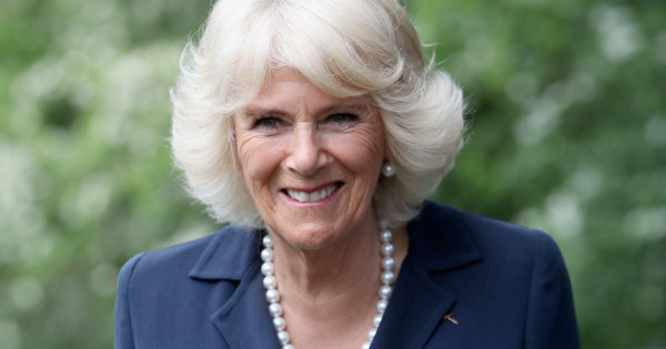 Borítókép: Ettől elolvadsz! Kamilla királyné kutyái különleges módon kaptak helyet III. Károly koronázásán