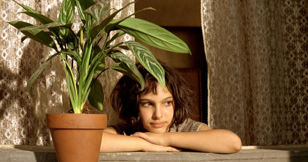 Borítókép: Az alábbi csillagjegyek imádják a szobanövényeket, nem tudják elképzelni az életüket nélkülük