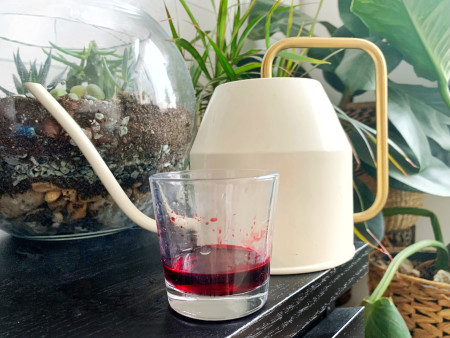 Borítókép: Nők, akik menstruációs vérükkel ápolják a növényeket