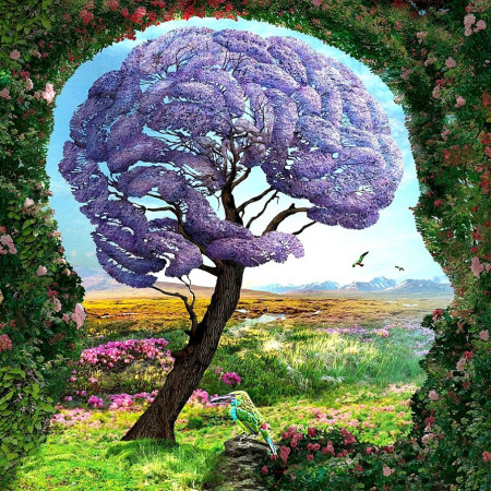 Borítókép: Mit látsz a fotón? Felfedi titkos személyiségjegyed!