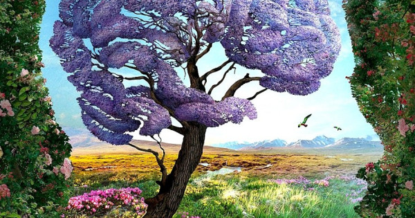 Borítókép: Mit látsz a fotón? Felfedi titkos személyiségjegyed!