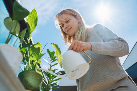 Borítókép: 5 gyönyörű növény az erkélyre, ami mindent kibír: igénytelen balkonvirágok, ha szereted a szépet