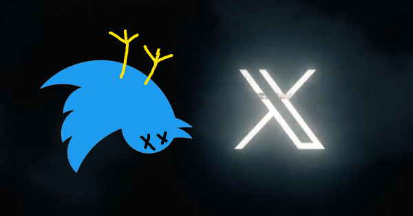 Kép