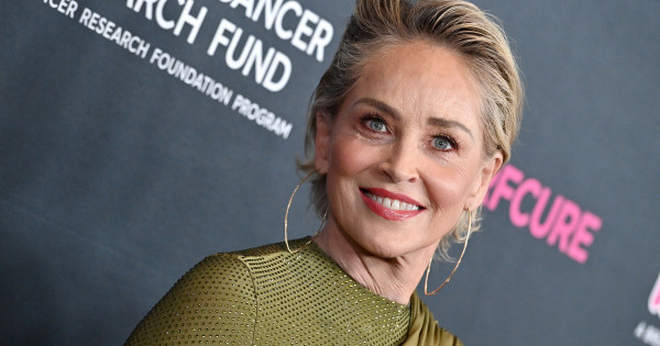 Borítókép: 66 éves, de egy perccel sem néz ki többnek, mint 40! 6 szépségszabály, amire Sharon Stone esküszik