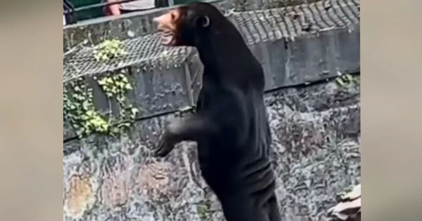 Kép