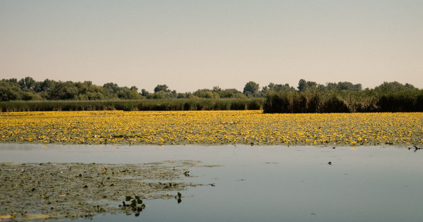Borítókép: Ha sok már a balatoni nyüzsgés! 6+1 kihagyhatatlan hely a Tisza-tó környékén, amit egyszer neked is látnod kell