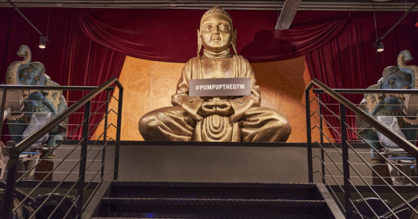 Borítókép: Edzőterem kicsit másképp: Eddz stílusosan a John Reed Family stúdióiban!