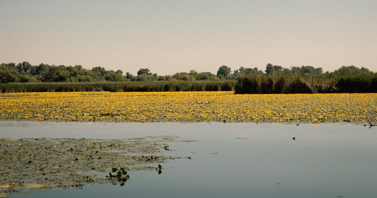 6+1 kihagyhatatlan hely a Tisza-tó környékén, amit egyszer neked is látnod kell