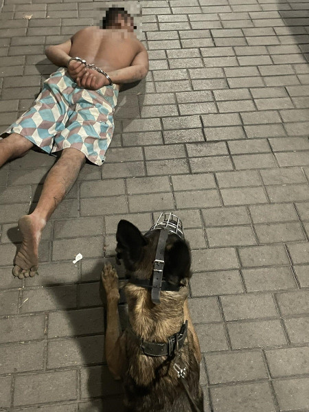 Borítókép: Nővel erőszakoskodó férfit fogott el a hős rendőrkutya Pomázon