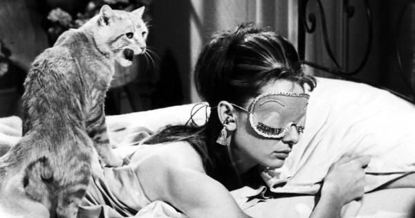 Borítókép: Tudtad? Ennek az 5 visszatérő félelemnek megdöbbentő jelentése van az álmokban