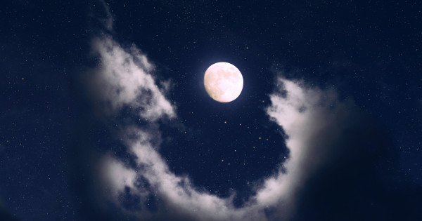 Borítókép: Csillagporból vagyunk - 8 furcsa tény, amit ezután sosem fogsz tudni elfelejteni