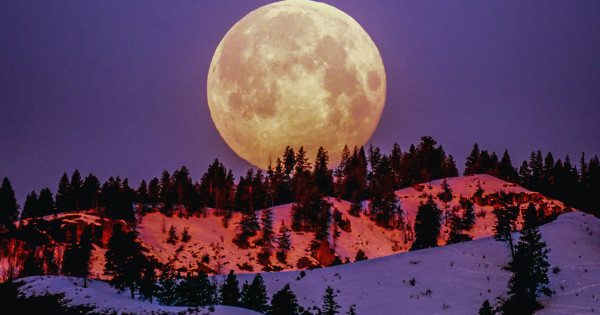 Borítókép: Vajon te vagy az? 3 csillagjegy, akinek hatalmas fordulatot vesz az élete a közeljövőben