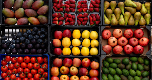 Borítókép: Szakértők szerint megelőzhető az életkorral járó betegségek, ha minden nap eszel ebből
